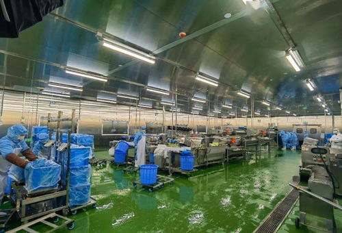 配送服務(wù)背后的質(zhì)量堅(jiān)守 七道檢測(cè)下的2.6萬名師生體驗(yàn)